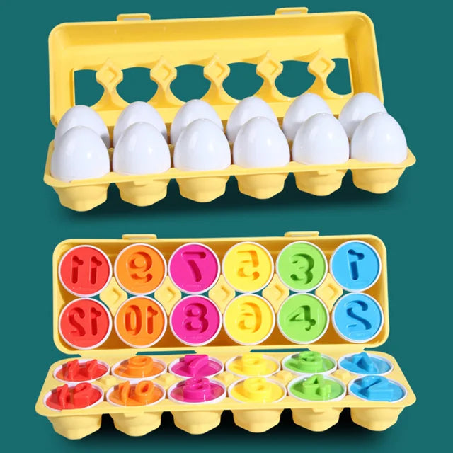 Montessori Toy Matching Eggs