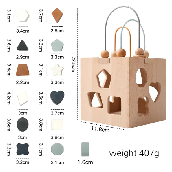 Montessori Geometric Box