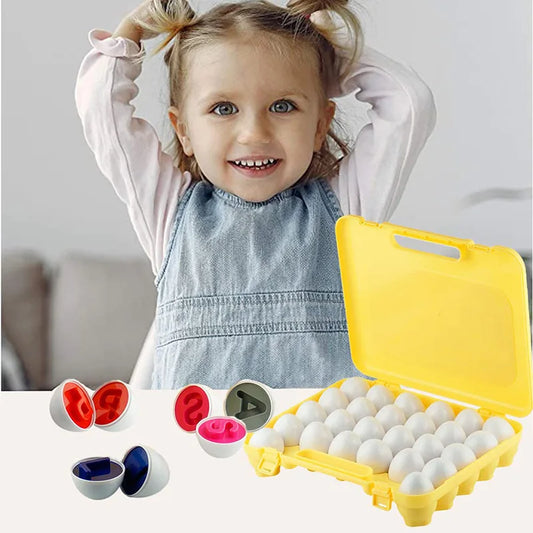 Montessori Toy Matching Eggs