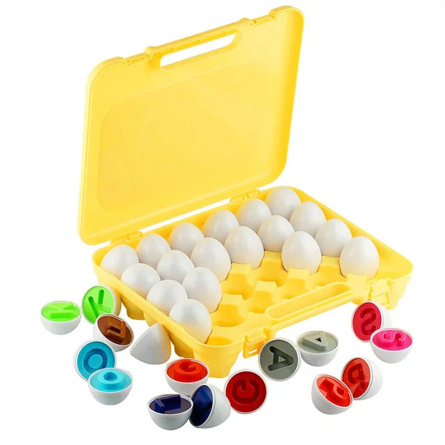 Montessori Toy Matching Eggs